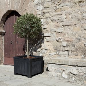 Castit Flower Pot