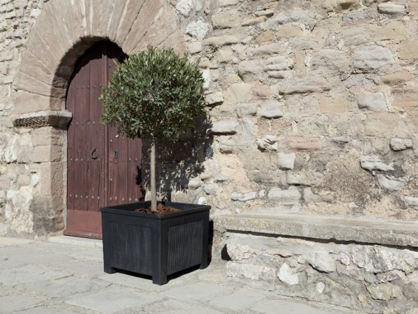 Castit Flower Pot