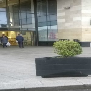 Prism Planter