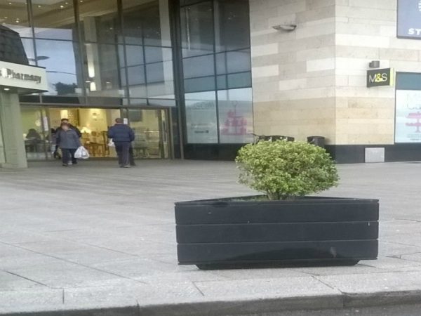 Prism Planter