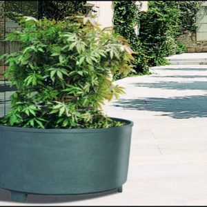 Claudia Planter