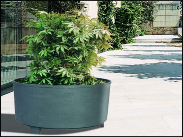 Claudia Planter